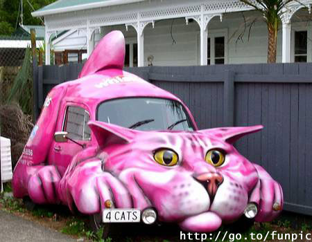 Catcar.jpg