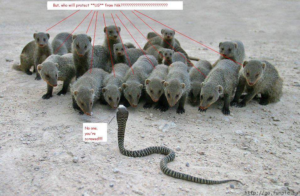 Mongeesev..obraNIK.jpg