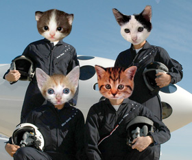 zzzzastronautcats.jpg
