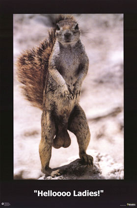 manlysquirrel.jpg