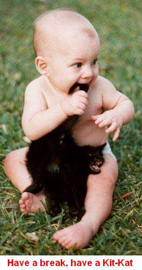 eatingkitty.jpg