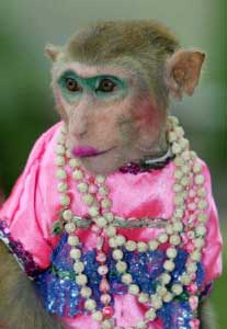 prettymonkey.jpg