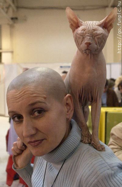 Nakedcat..aldlady.jpg