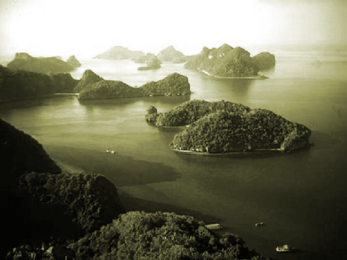 Andamanisland1.gif