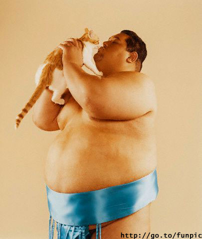 Sumoandcat.jpg