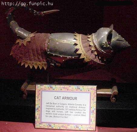 Catarmor.jpg