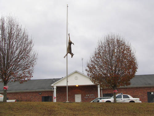 DeerPole.jpg