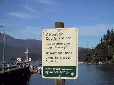 attentionalldogs.jpg
