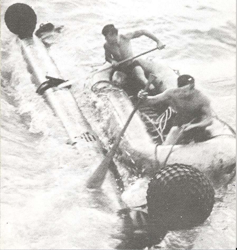 torp2.jpg