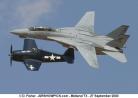tomcatandhellcat.jpg
