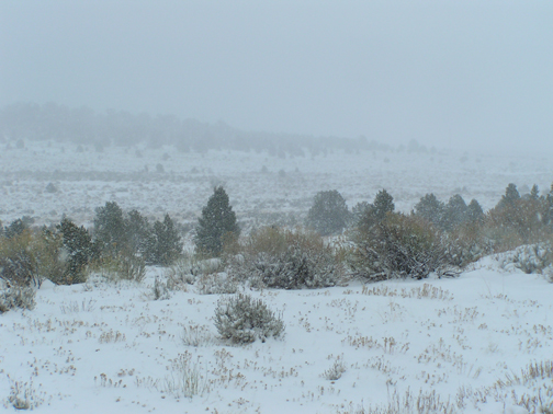 SnowatLast.jpg
