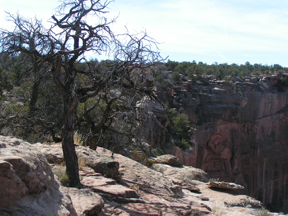 HikingtheRim4.jpg