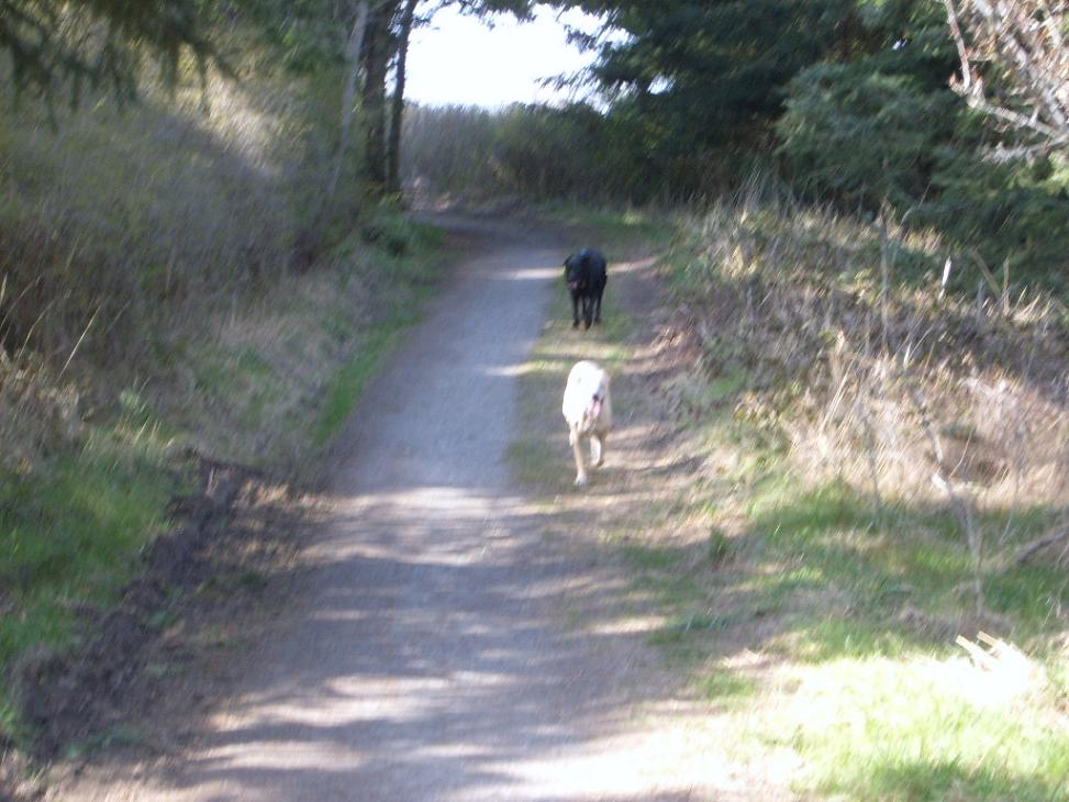 Picture010.jpg