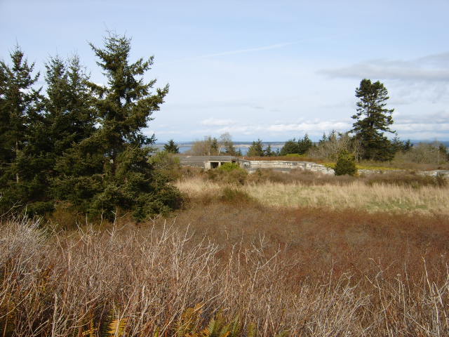Picture033.jpg