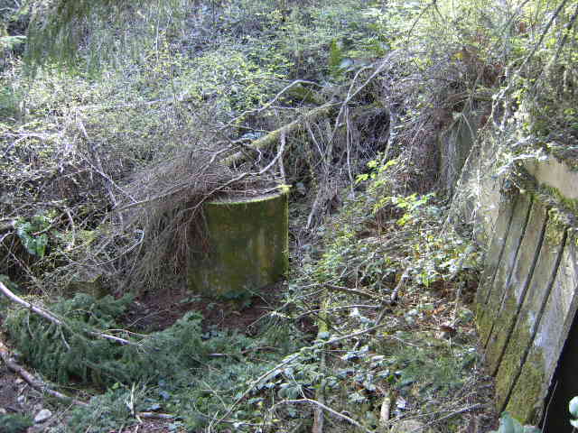 Picture038.jpg