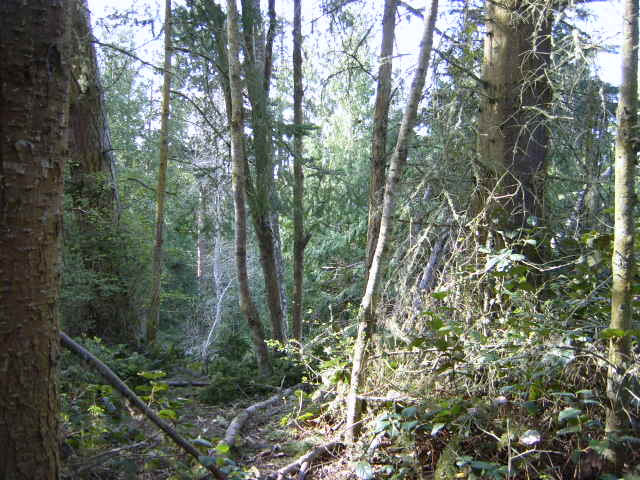 Picture039.jpg