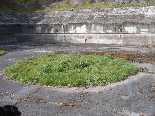 Picture045.jpg