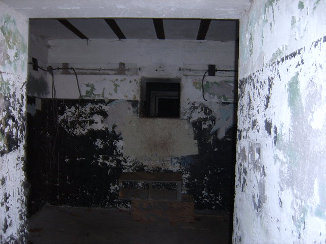 Picture051.jpg