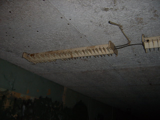 Picture080.jpg