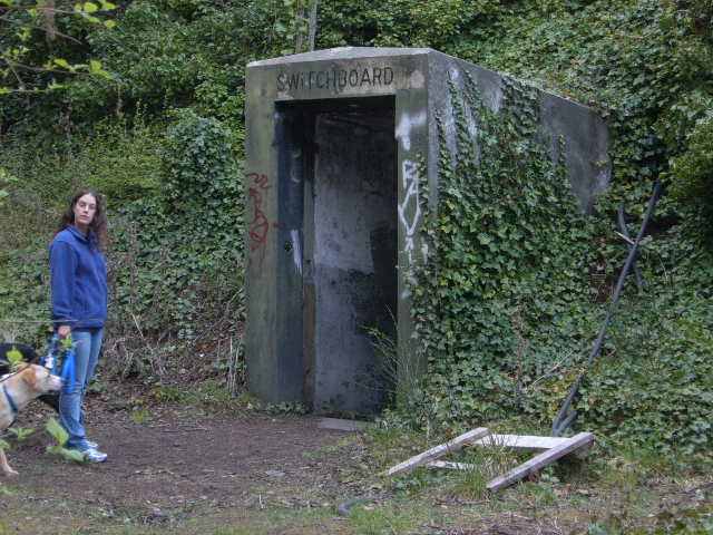 Picture088.jpg