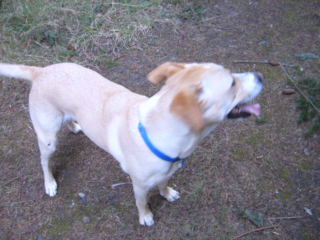 Picture097.jpg