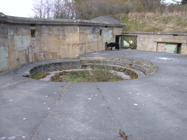 Picture104.jpg
