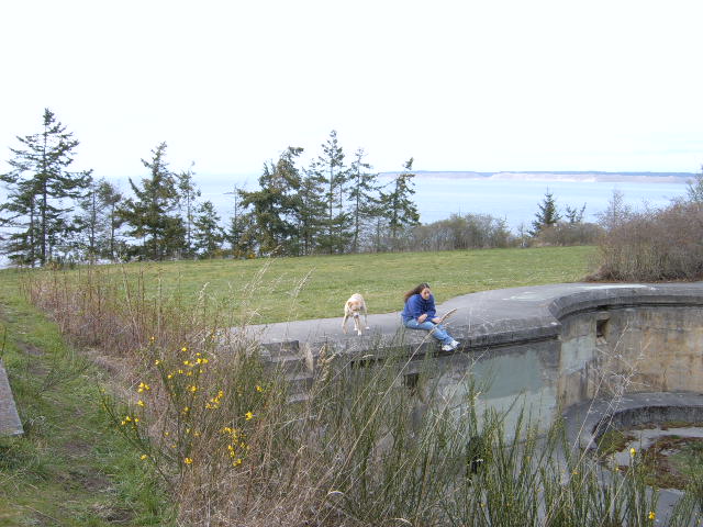 Picture106.jpg