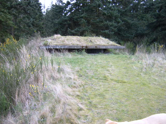 Picture107.jpg