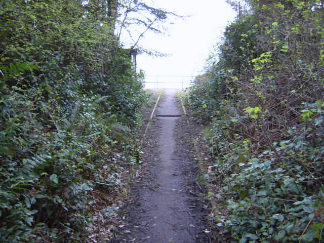 Picture113.jpg