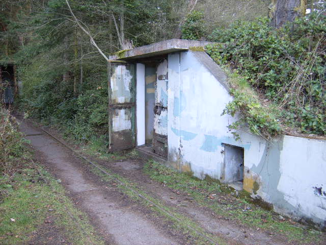 Picture114.jpg