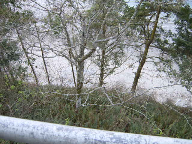 Picture116.jpg