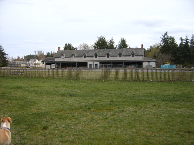 Picture123.jpg