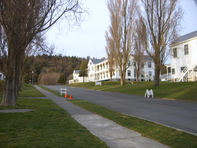 Picture131.jpg