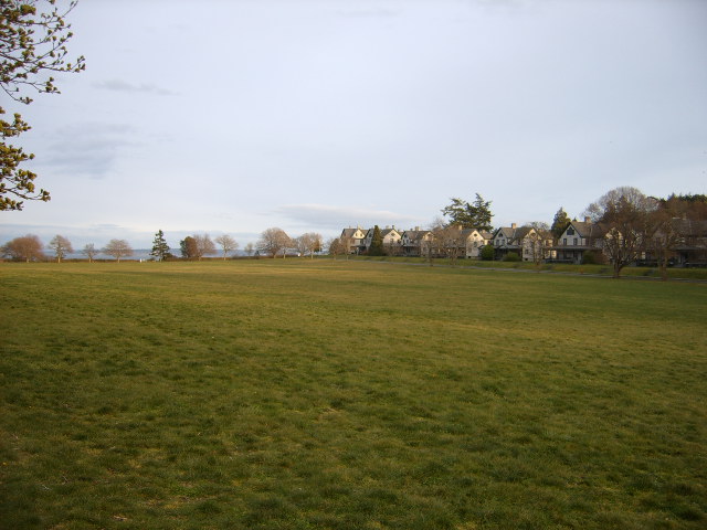 Picture135.jpg