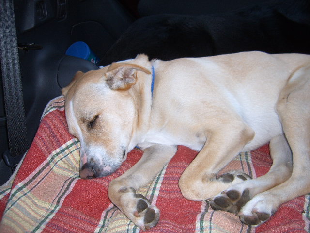 Picture136.jpg