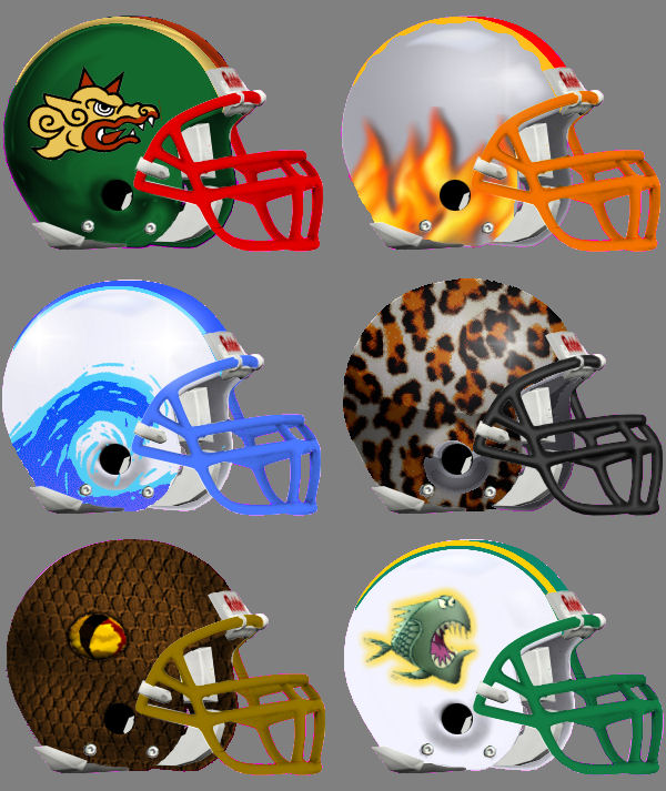 helmets2.jpg