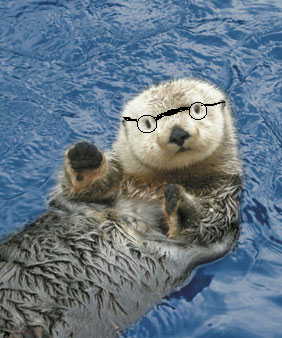 seaotter2.jpg