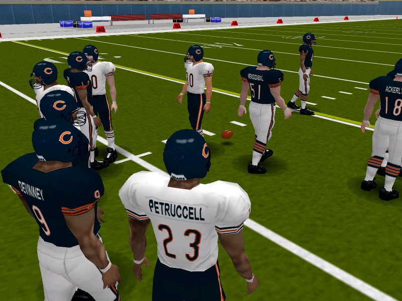 Bears.jpg