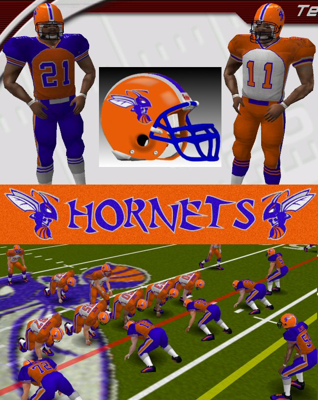 Hornets.jpg