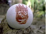 010323_wilson.jpg