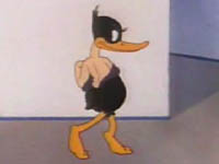 wisequackingduck.jpg