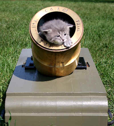 mortar20kitty.jpg