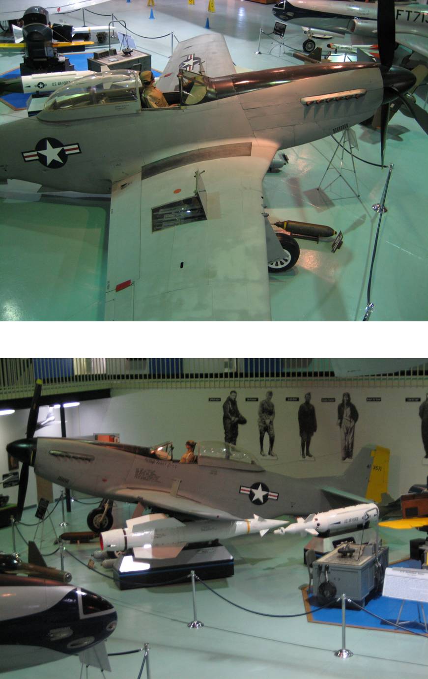 P51.jpg