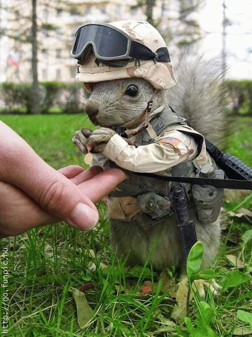 Puxatawny..Soldier.jpg