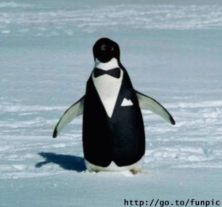 Formalfabertong.jpg