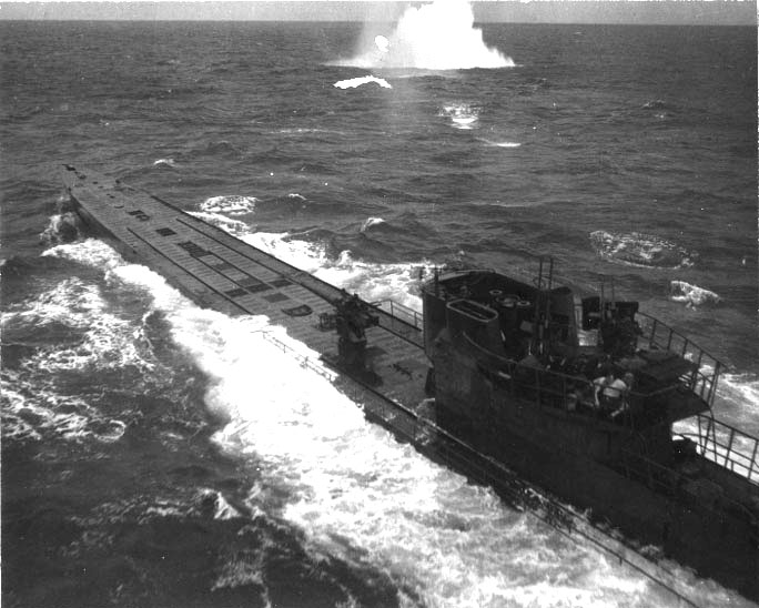 U848208284.jpg