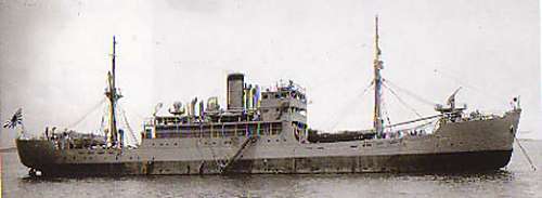 shipsoya.jpg