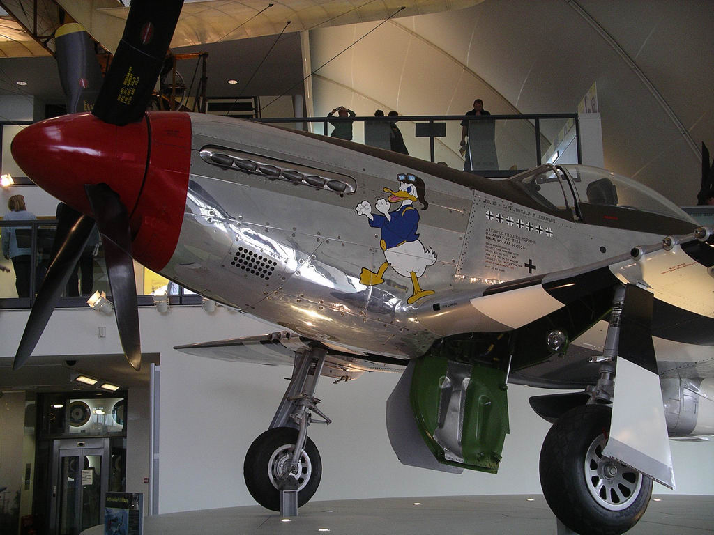P511024x768.jpg