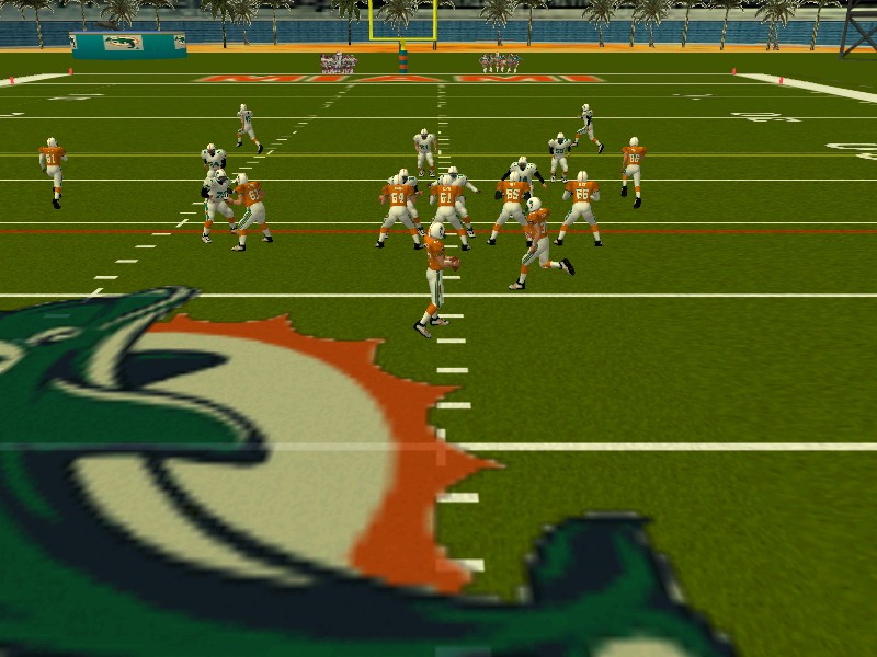 AltDolphins2.jpg