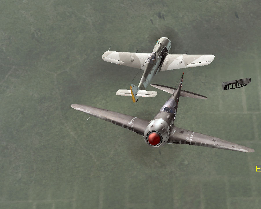 fight1c.jpg